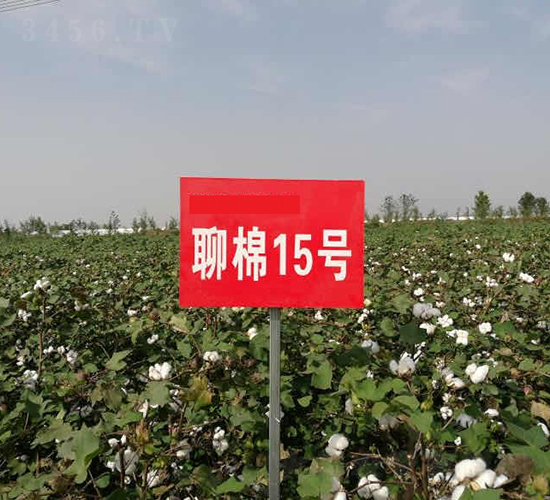 15̖(ho)-޻N-ydNI(y)