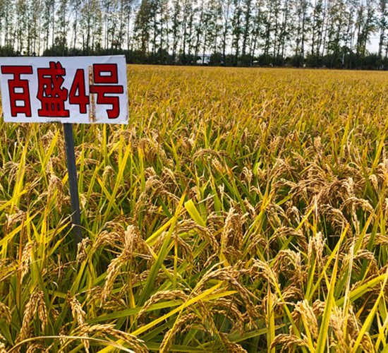 ʢ4̖(ho)-ˮN-ϷNI(y)