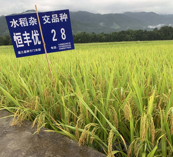 S(yu)28-(j)㵾-һNI(y)