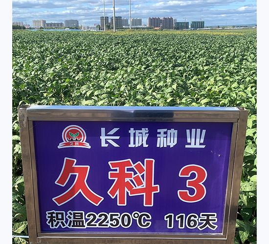 ÿ3̖(ho)-󶹷N-LǷNI(y)