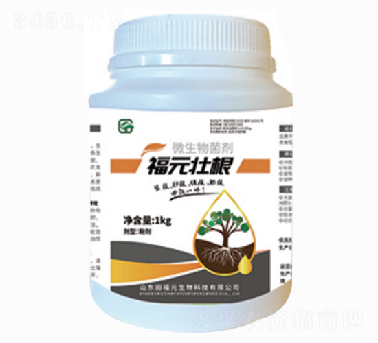 ԪѸ΢-ѸٸʸЧһw-︣Ԫ