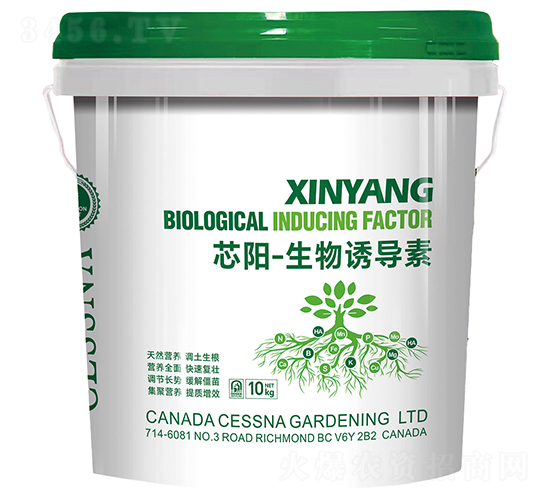 о-T(do)-ЅRr(nng)I(y)