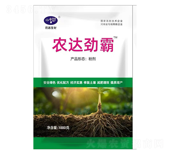 r(nng)_Ű1000-r(nng)_