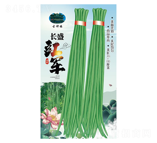 L(zhng)ʢ܊-ǷN-ԴNI(y)