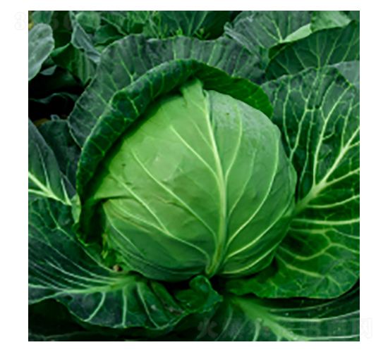 {(ln)N-學317-A孷NI(y)