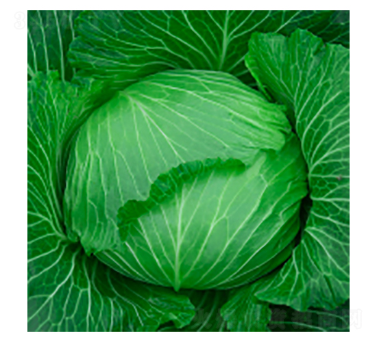 {(ln)N-學316-A孷NI(y)