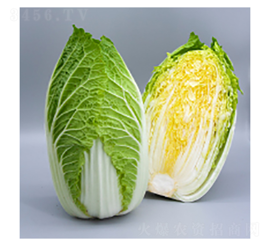 ײ˷N-ײ15̖(ho)-A孷NI(y)