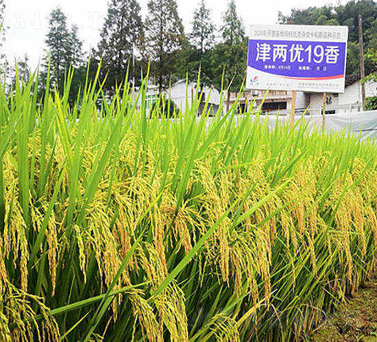 Ƀ(yu)-ˮN-𽡷NI(y)