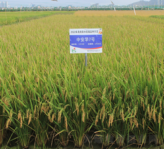 а7̖(ho)-ˮN-𽡷NI(y)