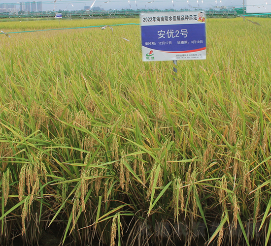 (yu)2̖(ho)-ˮN-𽡷NI(y)