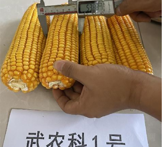 r(nng)1̖-׷N-SNI(y)