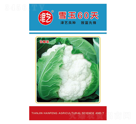 ˷N-ѩ60-Sr(nng)I(y)