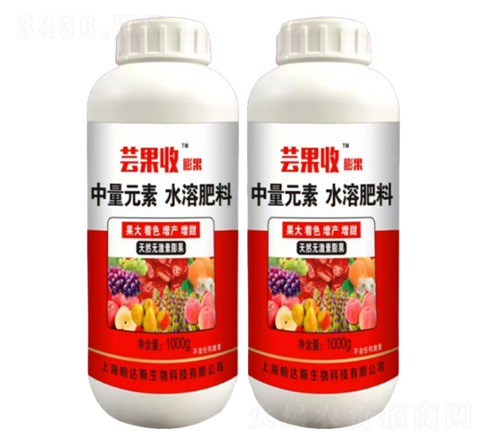 䱣-|-r(nng)r(nng)I(y)