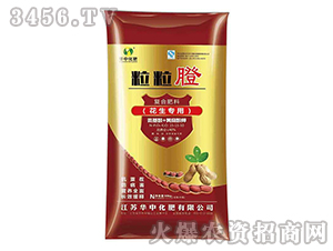 (f)Ϸϣ(zhun)ã15-15-10-Ć-Aл