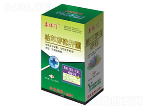 ݲѿߗU̿~ߣ-ϲRT-r(nng)