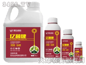 r(nng)΢-|~ˌã-F컯