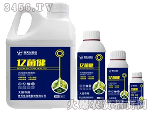 r(nng)΢-|ã-F컯