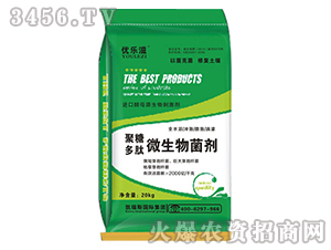 20kgǶ΢-(yu)(l)-P˹