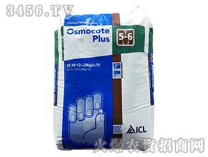 WG501̖(ho)-r(nng)I(y)