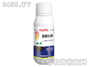 0-520-370+TE-Ʒ-̩(gu)H