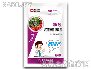 J¡(x)Sù-(l)-̩(li)(gu)H