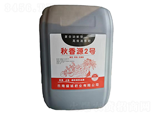 (f)Ϲ͸Чw-Դ2̖-ʢ\ʘI(y)