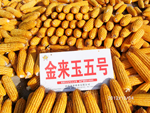 (li)5̖(ho)-׷N-(li)NI(y)