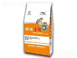 Ԫطϣʩã-V1̖(ho)-V