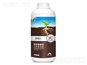 1000g΢-o(w)L(zhng)-ý