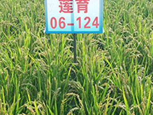 ɏ06-124-ˮN-ɏRrI(y)