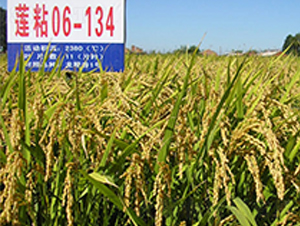 ɏճ06-134-ˮN-ɏRrI(y)