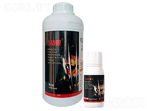 x(chng)ˎM(jn) σ(yu)ʿ