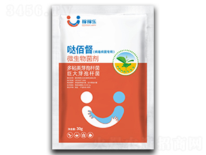 (zhun)΢-}۶-ڼژ(l)