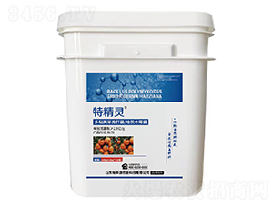 ճѿߗUľù-ؾ`-ԣSԴ