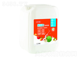 9999-Сt-f(wn)r(nng)