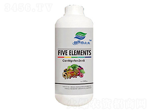 ΢Ԫأ}V\F-ۿ