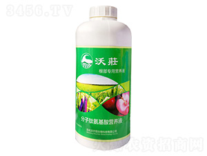 (zhun)àI(yng)B(yng)Һ-֠