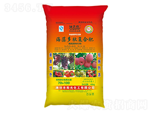 ď(f)Ϸϣѹ䌣ã--(yng)⻯