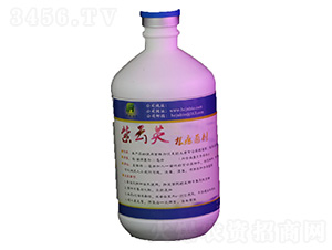 500mlӢҺw-A(chung)r