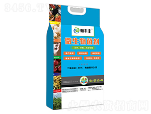 ˮ(zhun)΢-DS