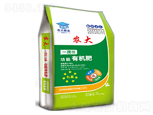 ЙC-һ-r(nng)]ʘI(y)