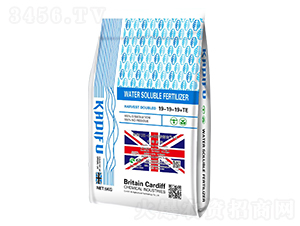 ӢUK-Cardiffî1̖(ho)ˮܷ19-19-19+TE-Ϸ 