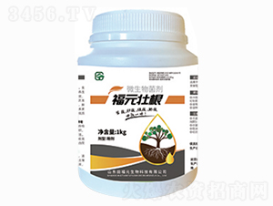 ԪѸ΢-ѸٸʸЧһw-︣Ԫ