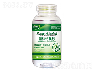 }VF-ِʩ(l)-sҫr(nng)I(y)