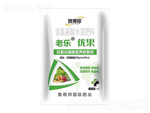 IB(yng)ޏ(f)-Ϙ(yu)-?sh)°? style=