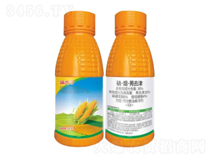 36%ݬȥɷɢ͑Ҹ-M܌-Zr(nng)I(y)