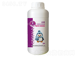 ֬Ĥ-Z-ЅRr(nng)I(y)