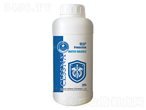 ʽrЙC(j)~-~o(h)-ЅRr(nng)I(y)