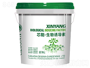 о-T(do)-ЅRr(nng)I(y)