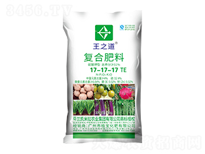 ͏ͺϷ17-17-17+TE-֮-ֲ